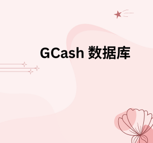 GCash 数据库