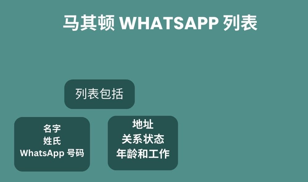 马其顿 whatsapp 列表